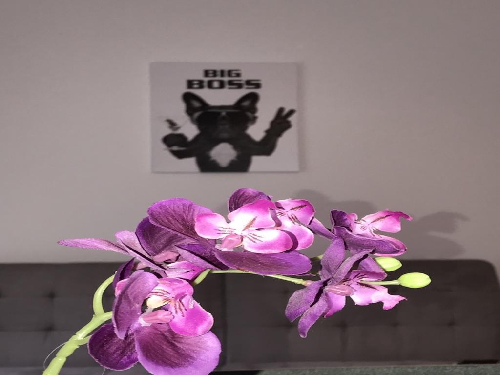 Apartment Am Ring *